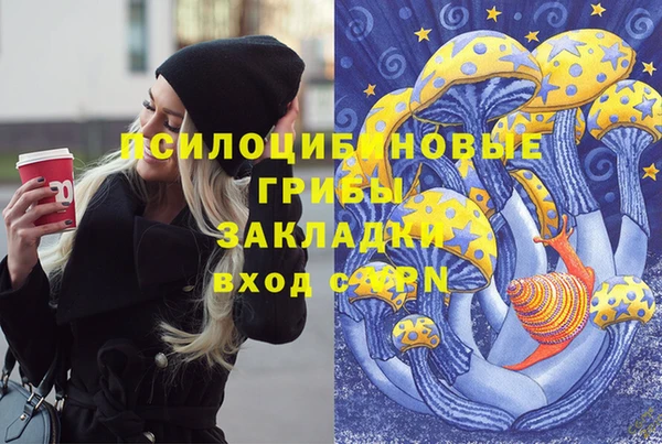 бошки Алексеевка