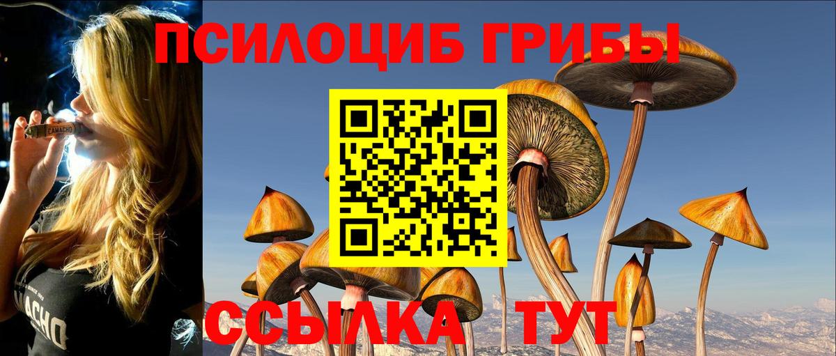 Галлюциногенные грибы MAGIC MUSHROOMS Ленинск-Кузнецкий