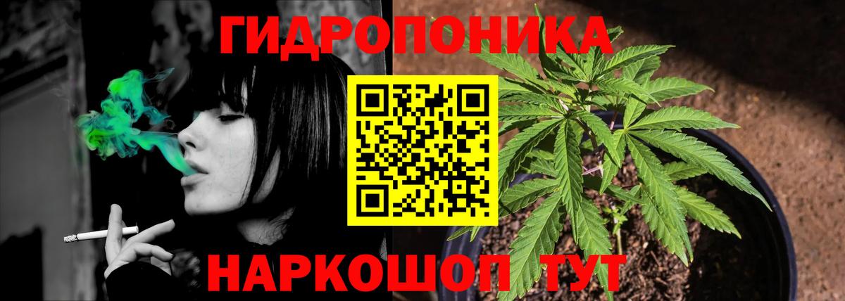 Конопля OG Kush  Бошки Шишки гибрид  Ленинск-Кузнецкий  Каннабис Ganja  Марихуана Amnesia 
